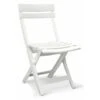 Grosfillex CHAISE MIAMI PLIANTE 42X50X80 Coloris Blanc 2 Grosfillex CHAISE MIAMI PLIANTE 42X50X80 Coloris Blanc -Promos Garde Plante Boutique 12272948 1