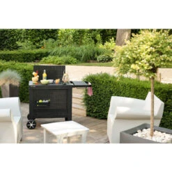 Desserte De Jardin - REVA 110 PREMIUM - Montage Facile - Dimensions Produit : L 121 X L 65 X H 110cm - Noir - Cook'in Garden -Promos Garde Plante Boutique 53418196 3