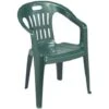 Chaise D'extérieur En Plastique Vert Piona Avec Accoudoirs 1 Chaise D'extérieur En Plastique Vert Piona Avec Accoudoirs -Promos Garde Plante Boutique 76044520 1