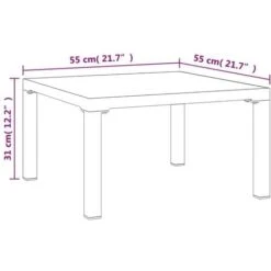 Table Basse De Jardin Gris 55x55x31 Cm DPC Et Acier VidaXL -Promos Garde Plante Boutique 92130565 3