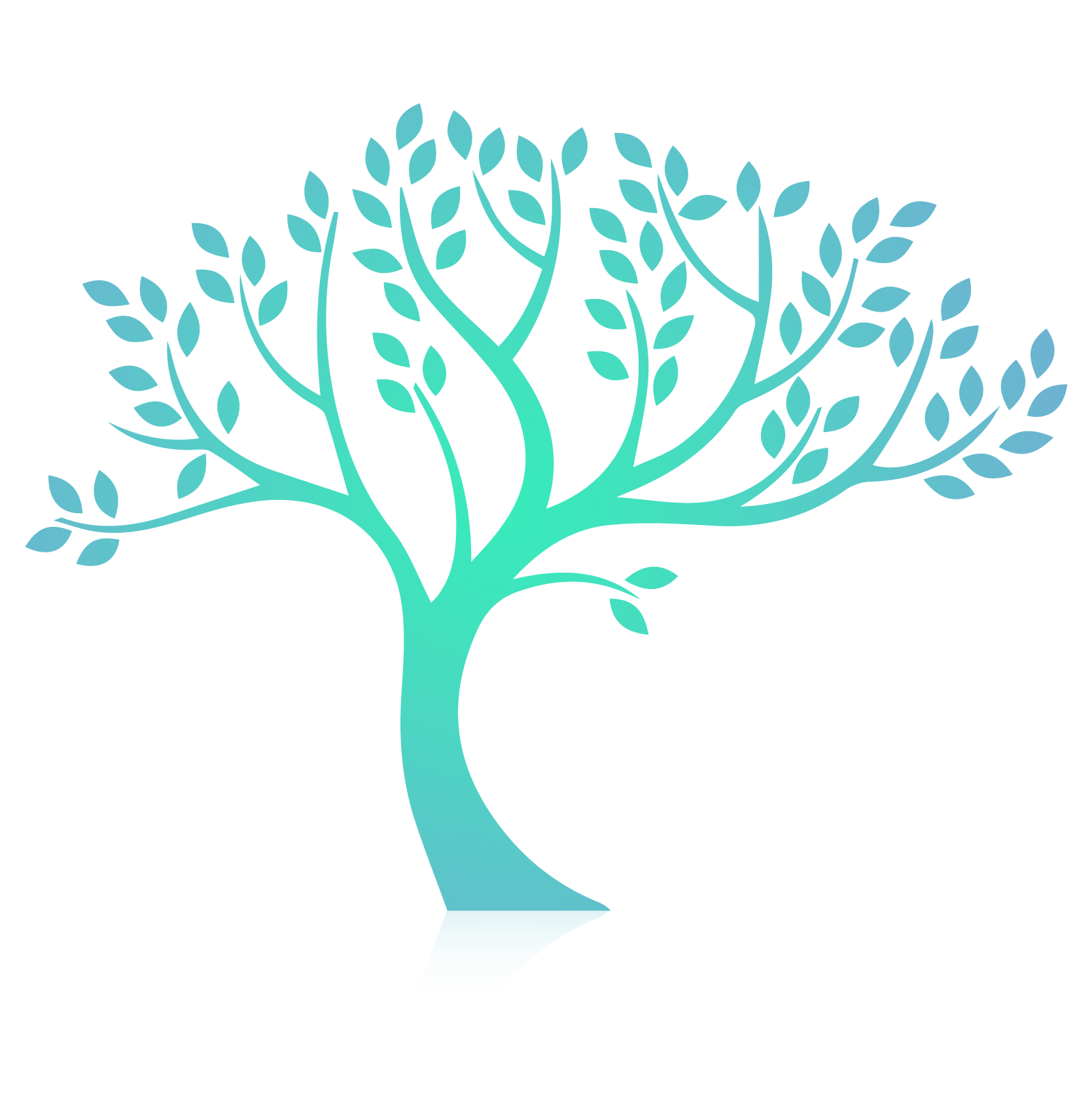 Promos Garde Plante Boutique